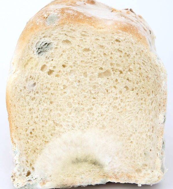 教你實用的戒酒方法：如何度過戒斷期和舒緩戒斷症狀？