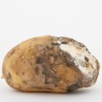 如何正確面對精神分裂症患者的行為和情緒變化 3 age 1238308 960 720