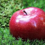 apple 1702331 960 720