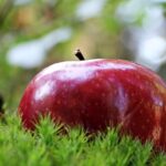 apple 1702338 960 720