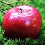 apple 1702373 960 720