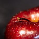 apple 7205616 960 720