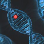 痛風患者的日常生活建議 2 dna 6560897 960 720
