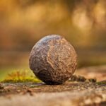 harmony 1229892 960 720