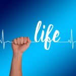 heart 3405559 960 720