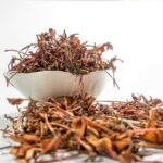 失智症照顧者心理健康:如何提升自己的心理韌性? 6 jungle gernnium 2477473 960 720