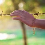 nature 669592 960 720