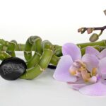 orchid 2115260 960 720