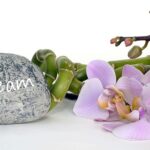 orchid 2115261 960 720