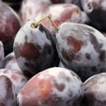 plums 3641812 960 720