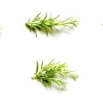 rosemary 1661525 960 720