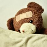 teddy 3183563 960 720