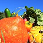 thanksgiving 1632760 960 720