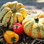 thanksgiving 1632788 960 720