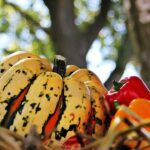 thanksgiving 1632805 960 720