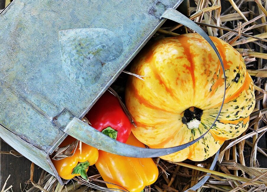 養老保健：經常做身體健康檢查的好處