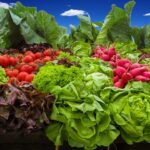 vegetables 905382 960 720