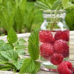 water 2232732 960 720