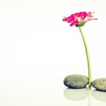 wellness 594181 960 720