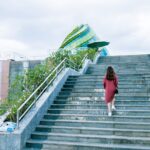 pexels photo 1057103