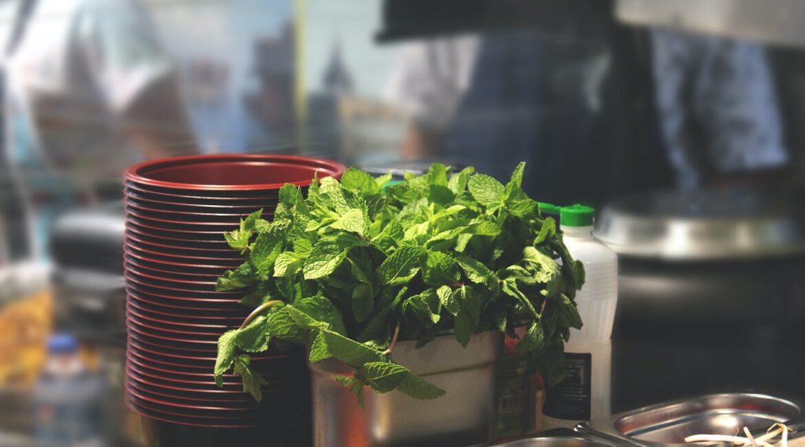 健康午餐：打造能量充沛的工作日