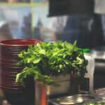 pexels photo 1057651