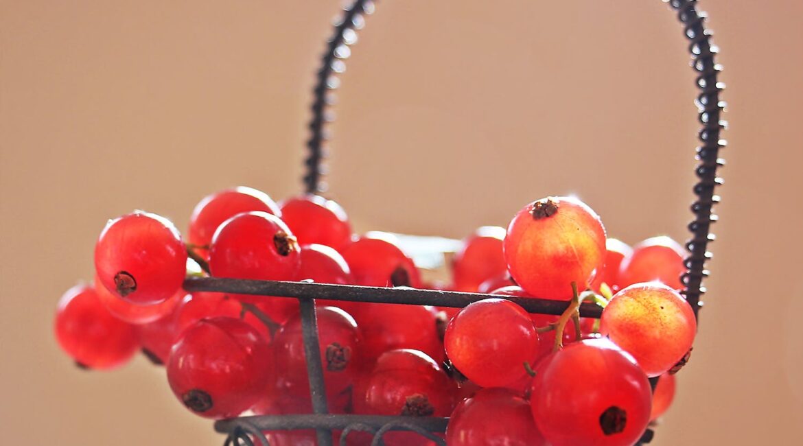 植物油的健康优势，比起动物油更好的选择