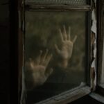 pexels photo 3393361