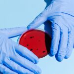 pexels photo 3786217