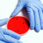 pexels photo 3786247