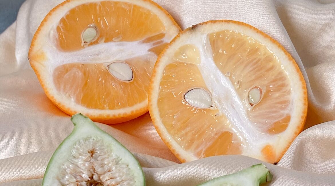 菸癮治療和戒菸輔助措施：尋找最適合你的解決方案