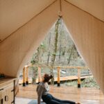 pexels photo 7663221