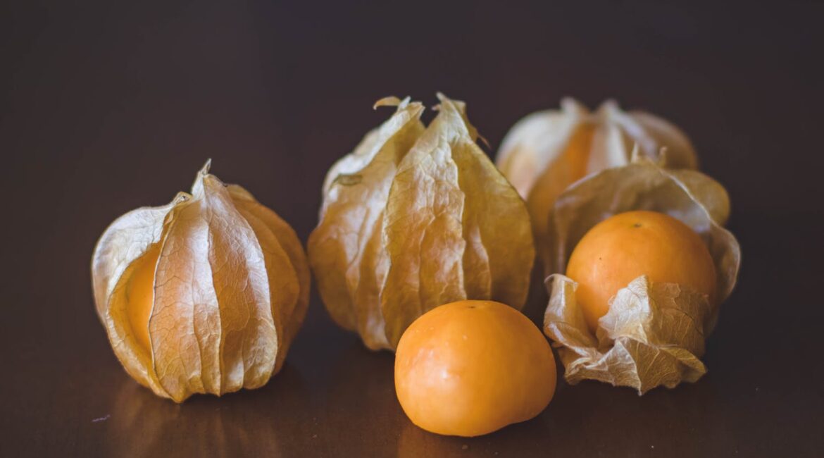 痛風診斷方法的演變:現代診斷技術是否更準確? 2 痛風診斷方法的演變:現代診斷技術是否更準確?