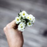 photo 1467164497942 9188daf56594