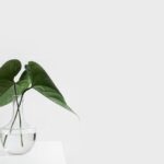 穀物的健康益處與食用方法:讓你更健康的選擇 3 photo 1487700160041 babef9c3cb55