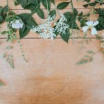 photo 1496661415325 ef852f9e8e7c