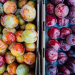 photo 1503267509980 772860efc568