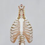 photo 1508387027939 27cccde53673