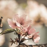 健康穀物在減重和控制血糖方面的角色 2 photo 1553589656 66c9c6b8f285