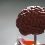 photo 1559757175 0eb30cd8c063