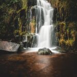 photo 1575366976751 0d4f96ce7c63