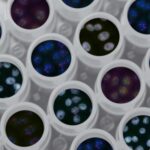 photo 1579154392429 0e6b4e850ad2