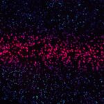 photo 1579684288538 c76a2fab9617