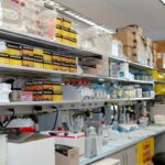 photo 1581056771085 3ce30d907416