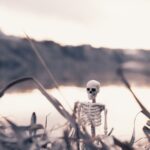 photo 1602740870513 853a437ce3cd