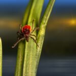 photo 1611773236760 c551cfda7383