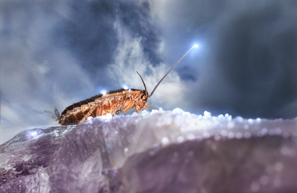 前列腺增生疼痛治療方法綜述。