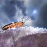 photo 1611773941444 bcaf9e0e5e31