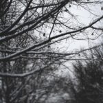 photo 1614049115611 a20e94641d92