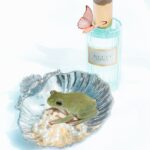 photo 1620853140306 d8108b7f7c03